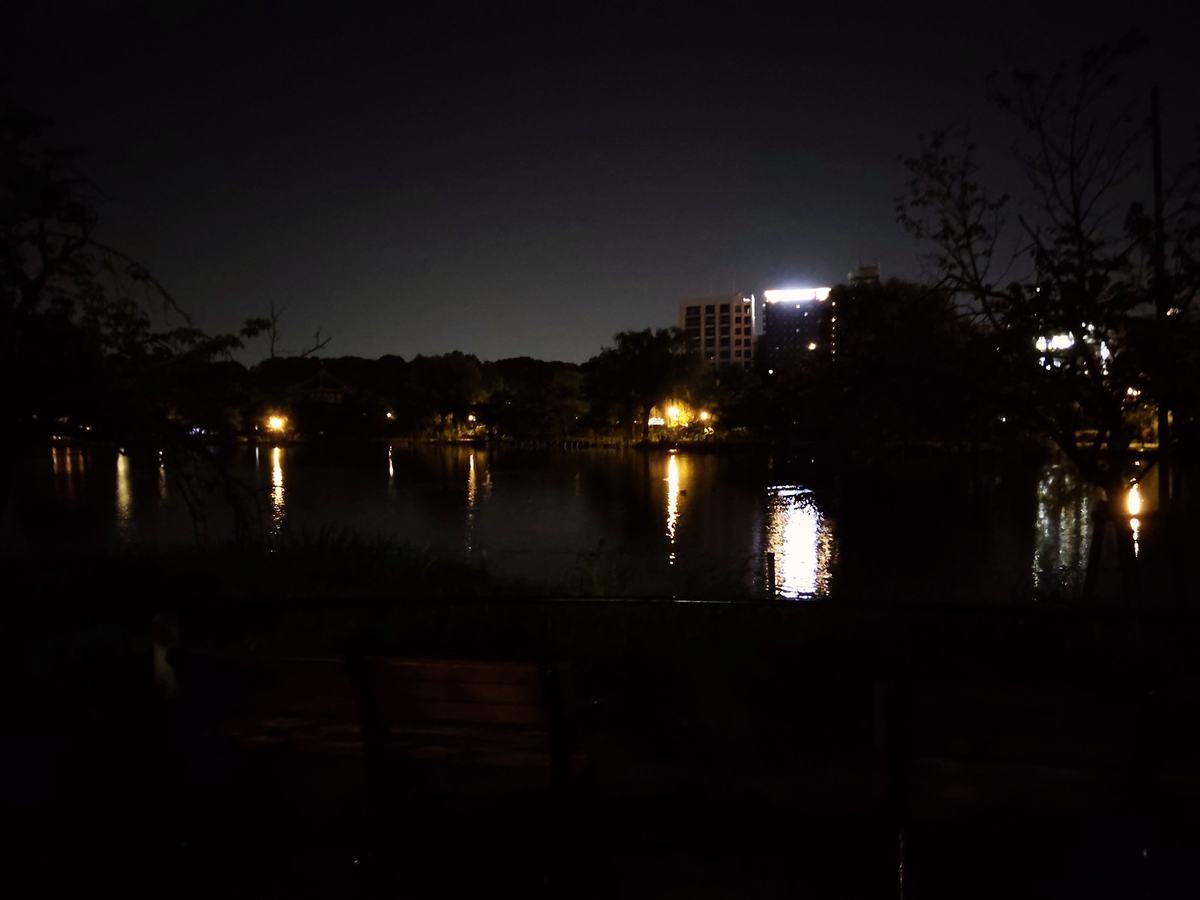 深夜の不忍池。暗い水面に街灯の光が細く伸びている。