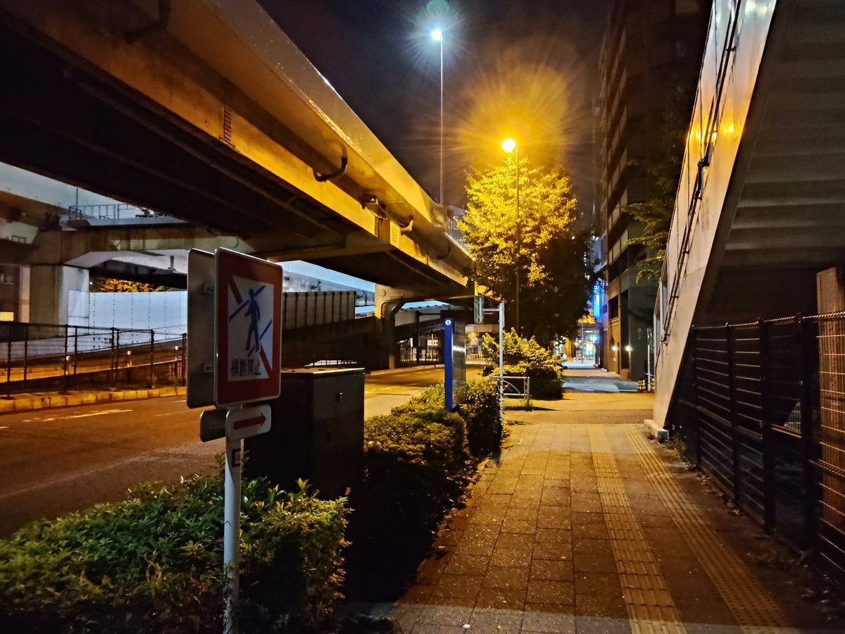 深夜の高架下の歩道。誰もいない横断歩道で信号だけが変わり続けている。