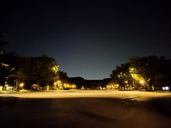 真夜中の上野公園、噴水広場。街灯だけが点り、誰もいない。